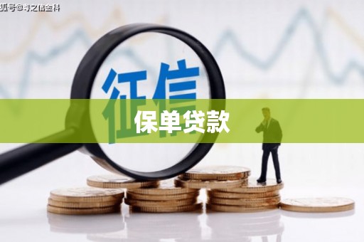集美保单贷款 集美保单贷款